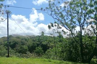 Vacant Land / Plot for Sale in Doon Heights - Image 2