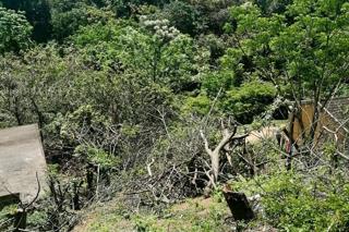 Vacant Land / Plot for Sale in Doon Heights - Image 3